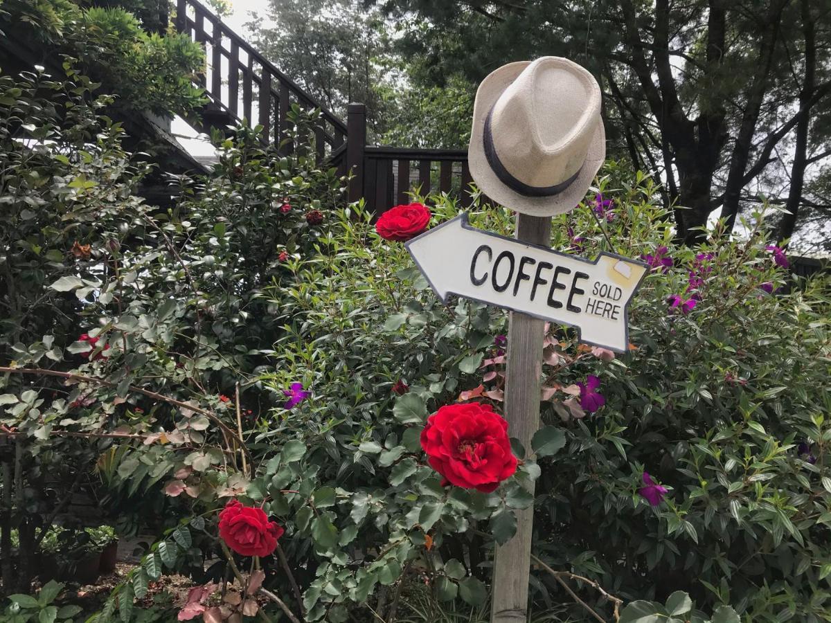 Tian Hsiang Tea B&B Ren'ai Exterior foto