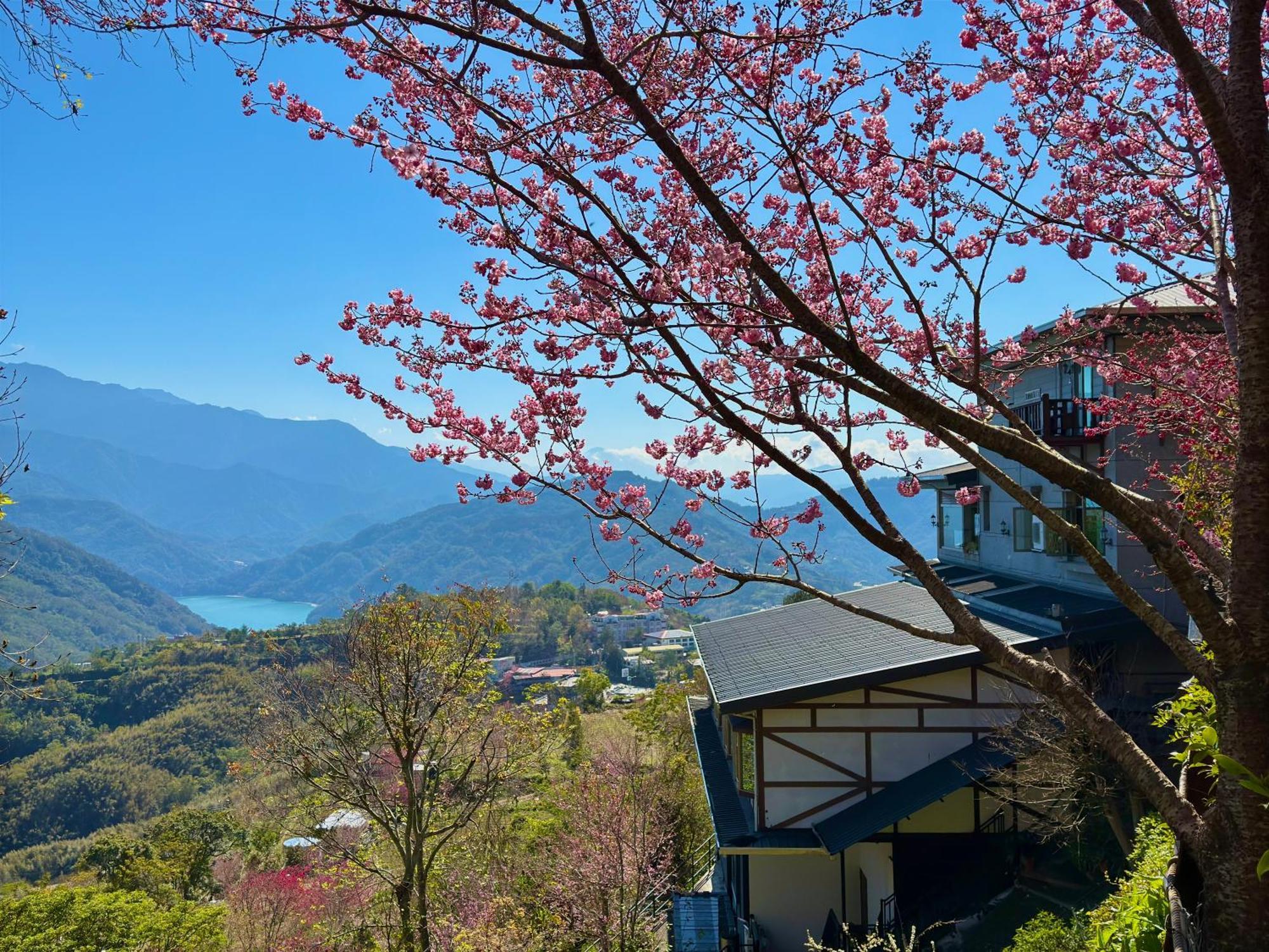 Tian Hsiang Tea B&B Ren'ai Exterior foto
