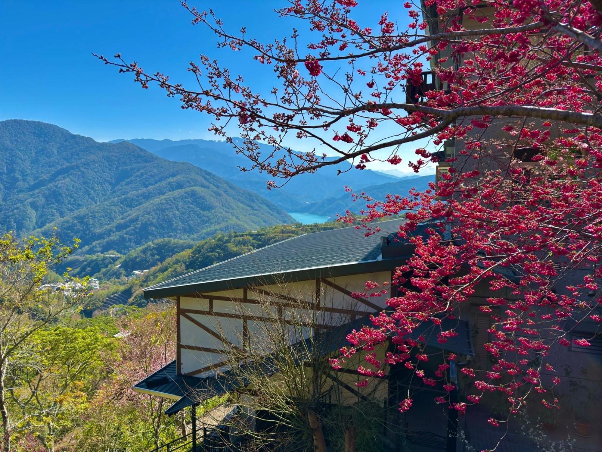 Tian Hsiang Tea B&B Ren'ai Exterior foto
